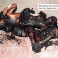   The verdict of magistrate Dr. Jyotsna Yagnik, sentencing Dr. Maya Kodnani, Babu Bajrangi and others to long imprisonment (31 August, 2012) has come as a big relief to the [â€¦]