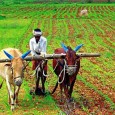 Real News Intl. (RNI) News Agency, Lko: The theme for Lucknow Medical Associationâ€™s convention for 2012 is going to be â€œTransforming Uttar Pradesh through agricultureâ€, which will be held on [â€¦]