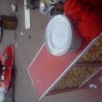   Real News Intl. (RNI), New Delhi: Roadside vendors abound every nook and cranny of the multi-layered city that Delhi is â€“ from the computer sales shops in Nehru Place [â€¦]