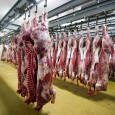 Help of the Indian embassies located in various meat consuming countries is being sought to promote bovine meat export from India. Owing to their tireless efforts, some embassies have been [â€¦]