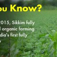 Sikkim is on course to unearthing new horizons of progress. Most remarkable achievement of the State is its green initiative. Hereâ€™s a look at the CM who turned into reality [â€¦]